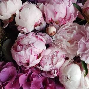 Meet your Posher, Breanne